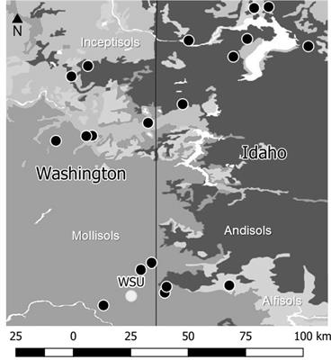 Bacteria and Competing Herbivores Weaken Top–Down and Bottom–Up Aphid Suppression